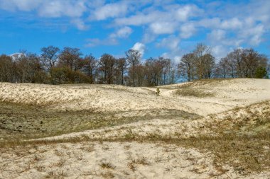 Baltık Denizi 'ndeki kum tepelerine bakın.