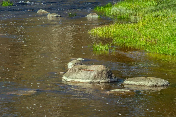 View Small River Springtime — Stock Photo, Image