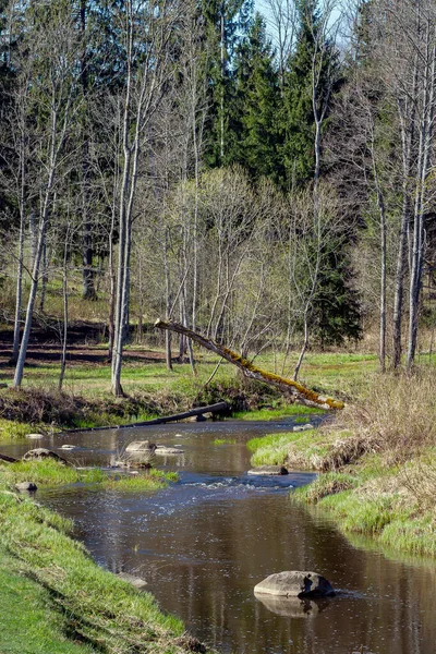 Vista Pequeño Río Primavera —  Fotos de Stock