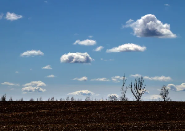 Blick Auf Das Bestellte Feld Und Den Bewölkten Himmel — Stockfoto