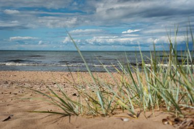 Baltık Denizi kıyısına bak.