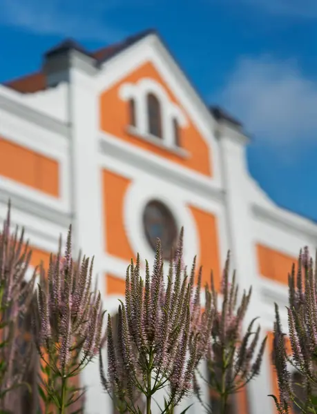 Utsikt Mot Synagogan Liten Stad — Stockfoto