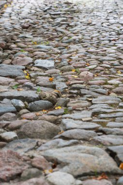 Sonbaharda eski kaldırımlı yola bak.