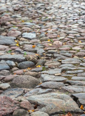 Sonbaharda eski kaldırımlı yola bak.