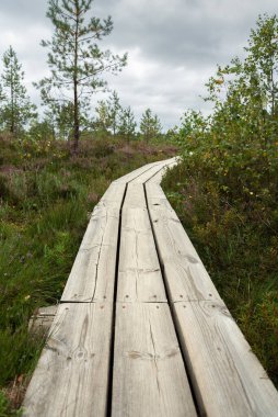 Bataklıktaki ahşap yola bak.