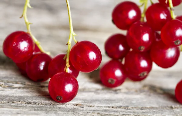 Red currant. — Stock Photo, Image