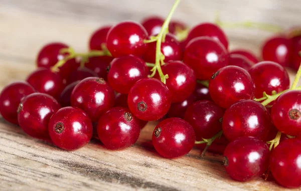 Red currant. — Stock Photo, Image