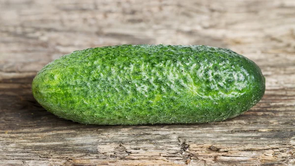 Green cucumber. — Stock Photo, Image