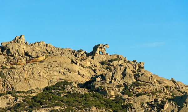 Monument of bear. — Stock Photo, Image