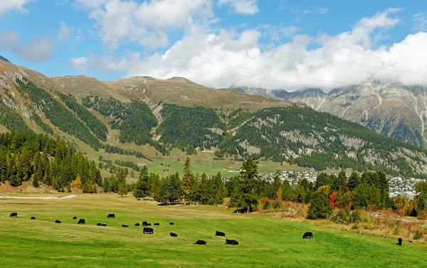 Vue sur la montagne . — Photo