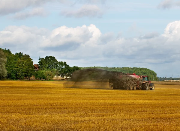 Trekker op het veld. — Stockfoto