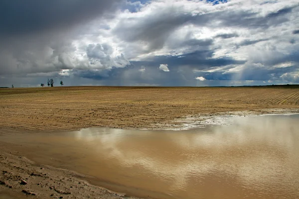 Puddle na pole. — Zdjęcie stockowe