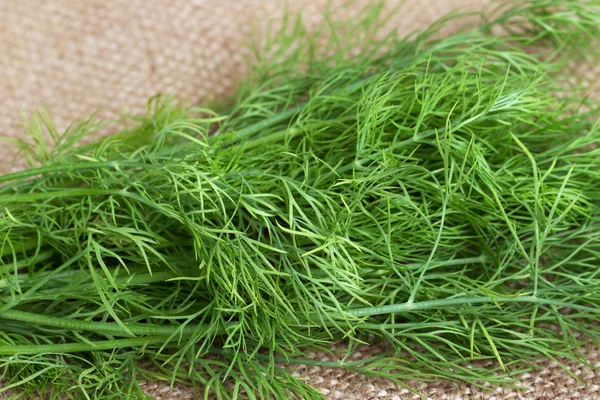 Bunch of dill. — Stock Photo, Image