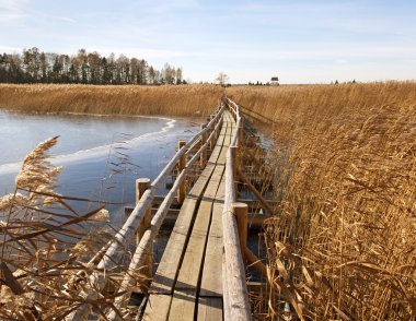 Akış boardwalk.