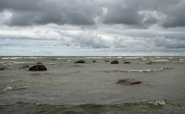 Baltic sea. — Stock Photo, Image