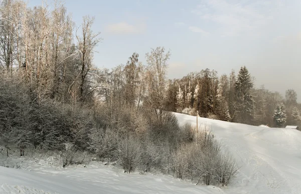 Зимний пейзаж. — стоковое фото