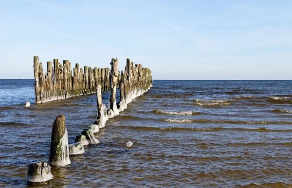 Ojecte no mar . — Fotografia de Stock