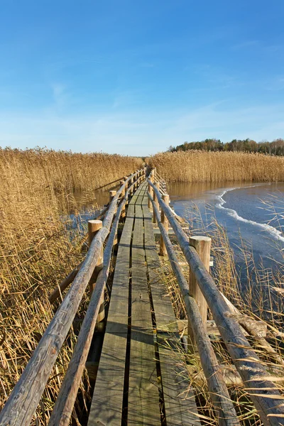 Boardwalk in a lake. — Stock Photo, Image