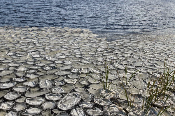 Schlamm auf dem Wasser. — Stockfoto