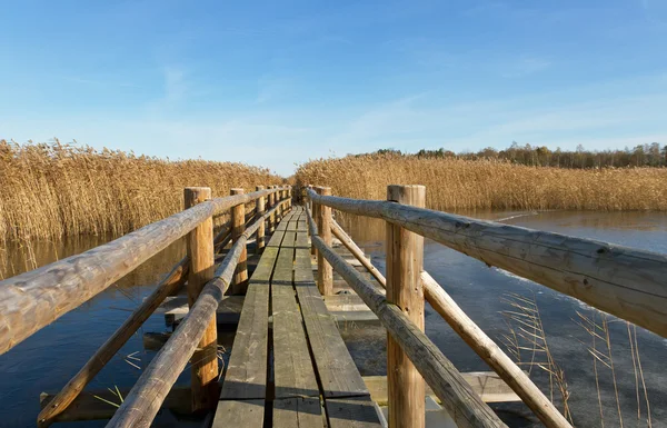 Wooden path. — Stock Photo, Image