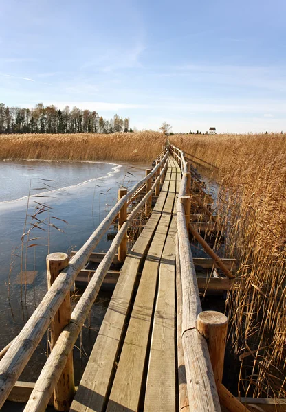 Flow boardwalk. — Stock Photo, Image