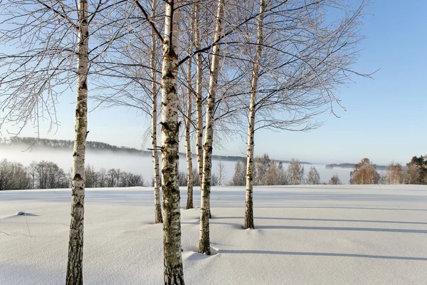 Paisagem inverno. — Fotografia de Stock