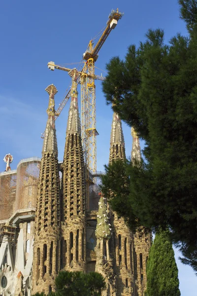 Cathedral La Sagrada Familia. — Stock Photo, Image