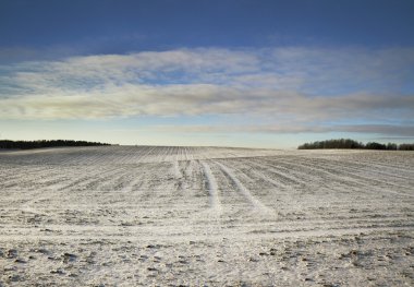 bir kış alanında.