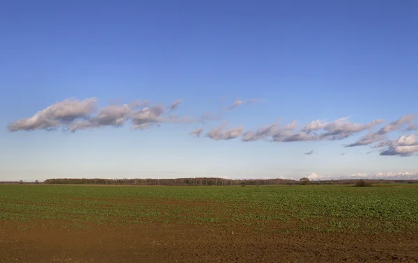 Land landschap. — Stockfoto