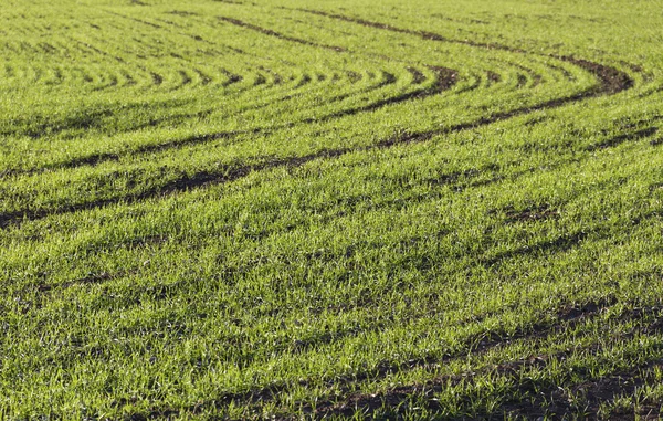 Land landskap. — Stockfoto