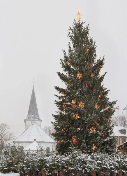 Χριστουγεννιάτικο δέντρο σε Tukums. — Φωτογραφία Αρχείου