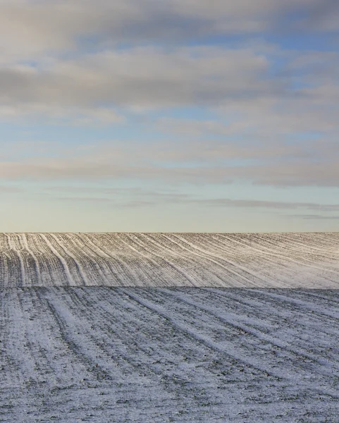 Pole v ziměfält i en vinter. — Stockfoto