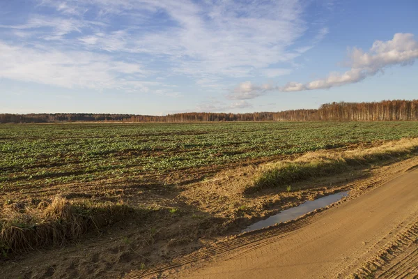 Landstraße. — Stockfoto