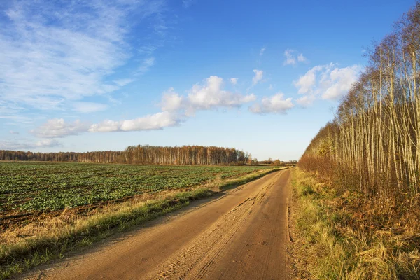 Landvei. – stockfoto