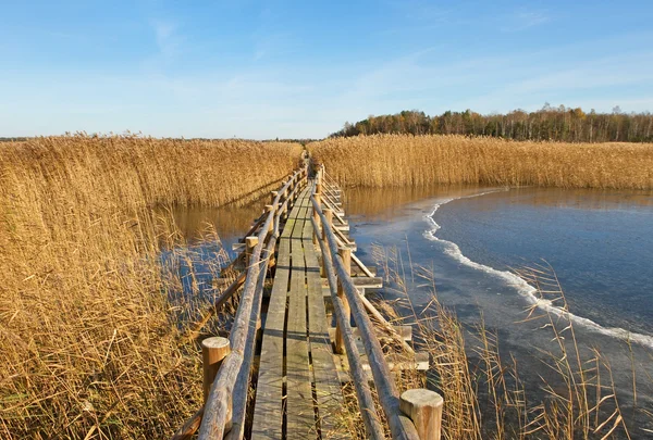 Boardwalk in a lake. — Stock Photo, Image