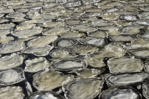 Fanghi sull'acqua . — Foto Stock