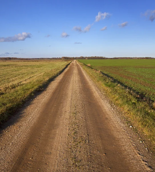 Country road. — Stock Photo, Image