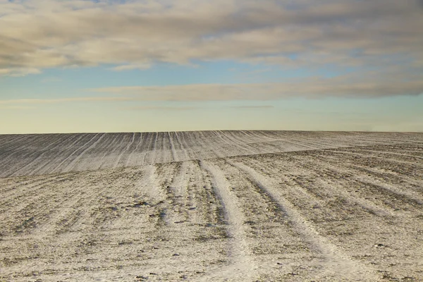 Besneeuwde veld. — Stockfoto