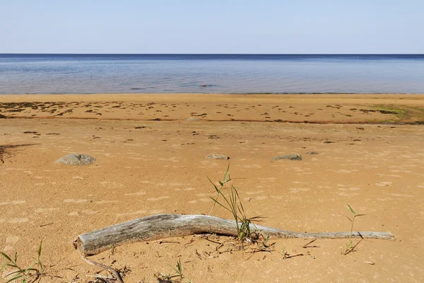 Baltic sea. — Stock Photo, Image