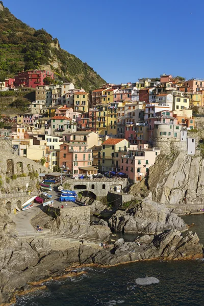 Manarola görünümüne. — Stok fotoğraf