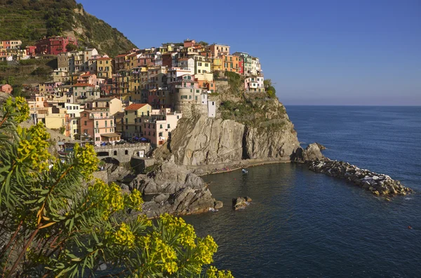 View to the Manarola. — Stock Photo, Image