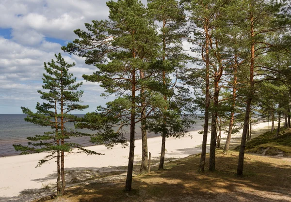 Zandstrand. — Stockfoto