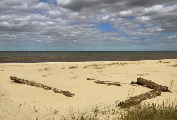 Mer Baltique plage . — Photo