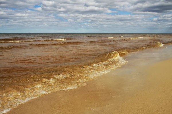 Ostseestrand. — Stockfoto