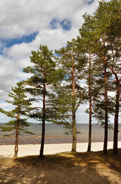 Zandstrand. — Stockfoto