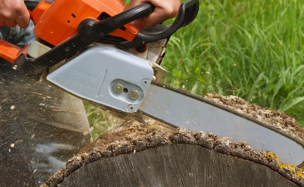 Man cuts a tree.