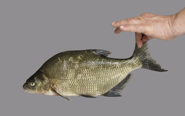 Mensch und Fisch. — Stockfoto