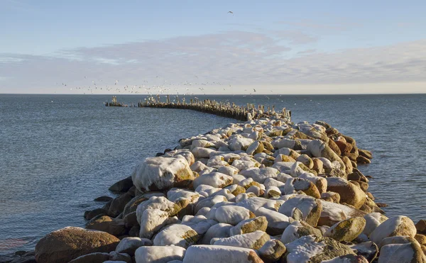 Vågbrytare. — Stockfoto