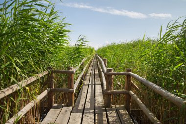 kırsal kesimde ahşap yolu.