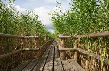 kırsal kesimde ahşap yolu.